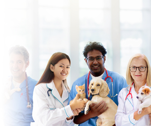 Veterinary