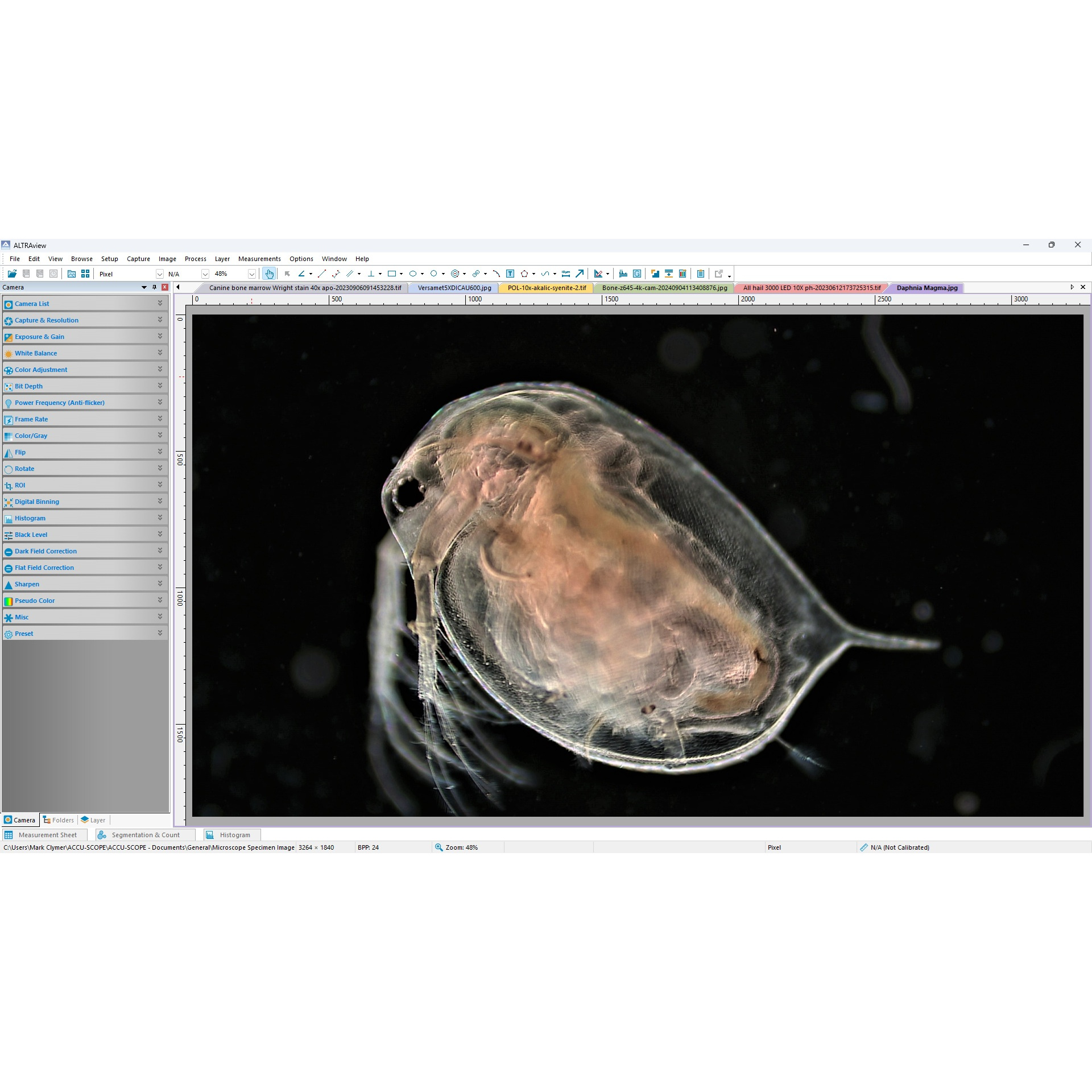 ALTRAview - DF - daphnia - square