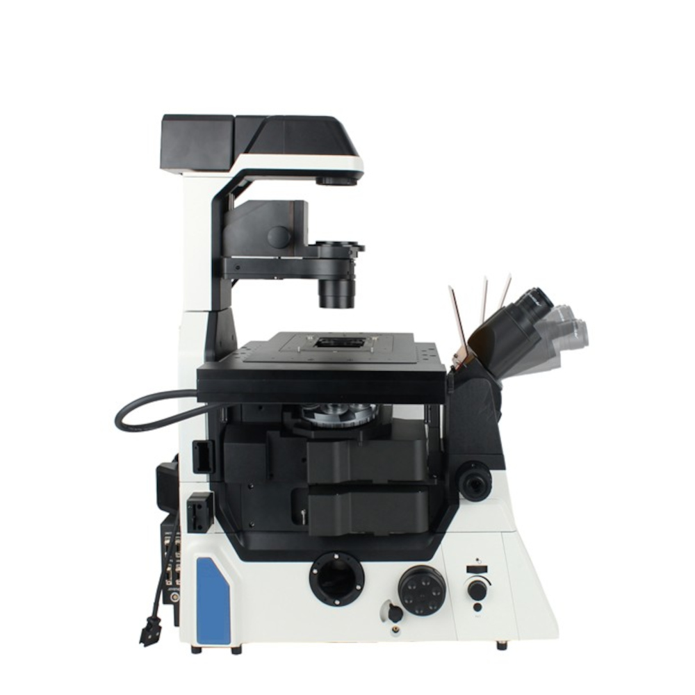 The EXI-1000 features a tilting head for excellent ergonomics during observation.
